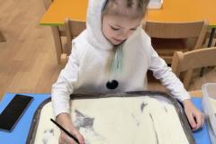 IMG_20260129_080102490_AE