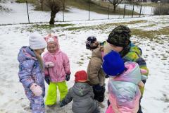 IMG_20260129_111309511_AE