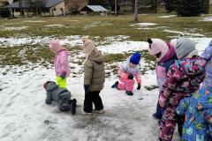 IMG_20260129_111333614_AE