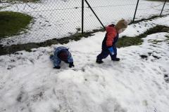 IMG_20260129_111646050_AE