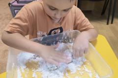 IMG_20260129_142316791_AE