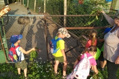 IMG_20190626_192253