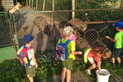 IMG_20190626_192323