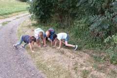 IMG_20220727_194422