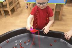 IMG_20260213_070147466_AE