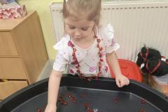 IMG_20260213_070218837_HDR_AE