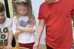 IMG_20260213_072720046_HDR_AE