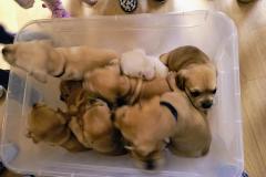 IMG_20251217_090544411_AE