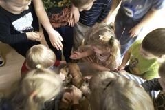 IMG_20251217_090556047