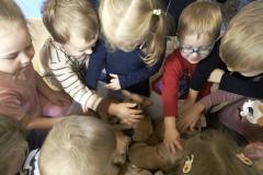 IMG_20251217_090602321