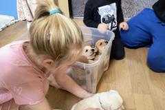 IMG_20251217_091111838_AE