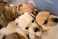 IMG_20251217_091116292_AE