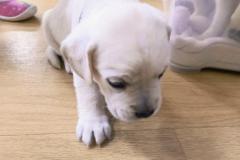 IMG_20251217_091127096_AE