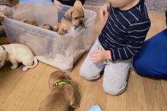 IMG_20251217_091357000_HDR_AE