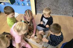 IMG_20251217_091446657_AE