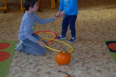 SAM_0775