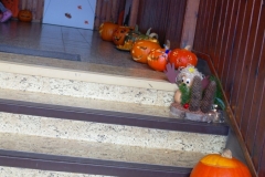 SAM_0785