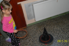 SAM_0794