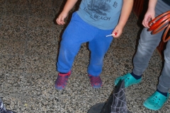 SAM_0800