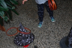 SAM_0807