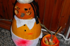 SAM_0809