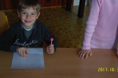 SAM_0816