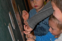 SAM_0821