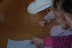 SAM_0823