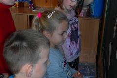 SAM_0865