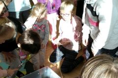 IMG_20191031_103332