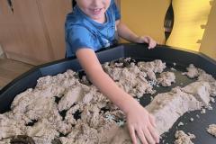 IMG_20251107_083656165_HDR_AE