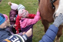 IMG_20211111_101832