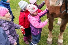IMG_20211111_101835