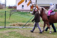 IMG_20211111_103615