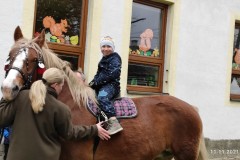 IMG_20211111_103703