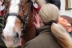 IMG_20211111_103830