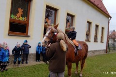 IMG_20211111_103837
