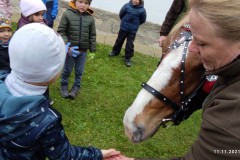 IMG_20211111_104049