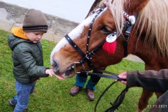 IMG_20211111_104053