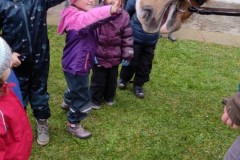 IMG_20211111_104240