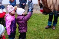 IMG_20211111_104251