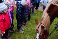 IMG_20211111_104339