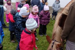 IMG_20211111_104406