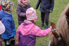 IMG_20211111_104754