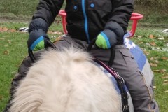 IMG_20221121_101546