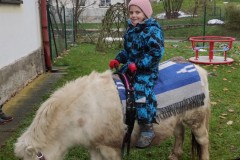 IMG_20221121_101719