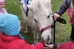 IMG_20221121_101903
