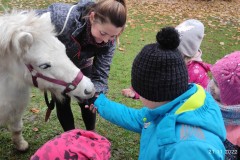 IMG_20221121_101950