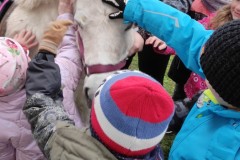 IMG_20221121_102133