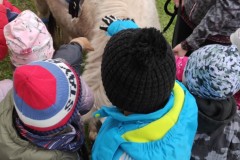 IMG_20221121_102135